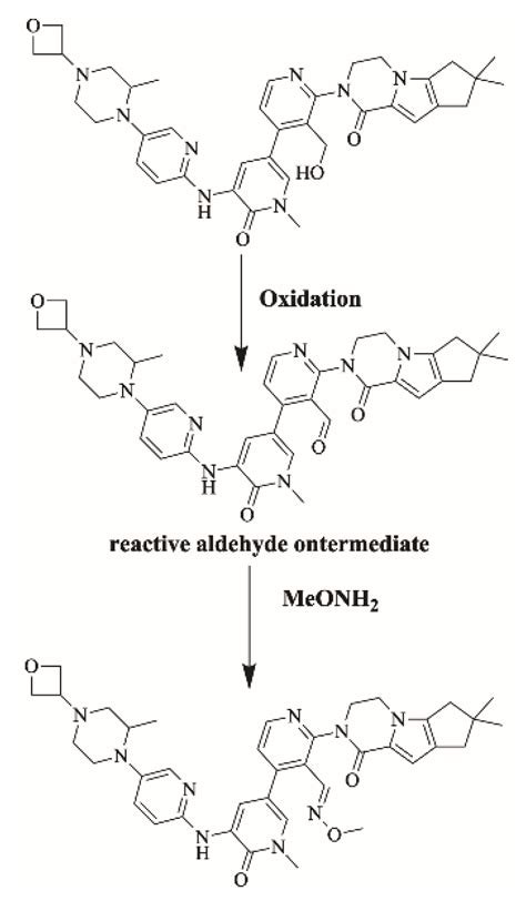 Investigation of Fenebrutinib Metabolism and Bioactivation Using MS3 ...