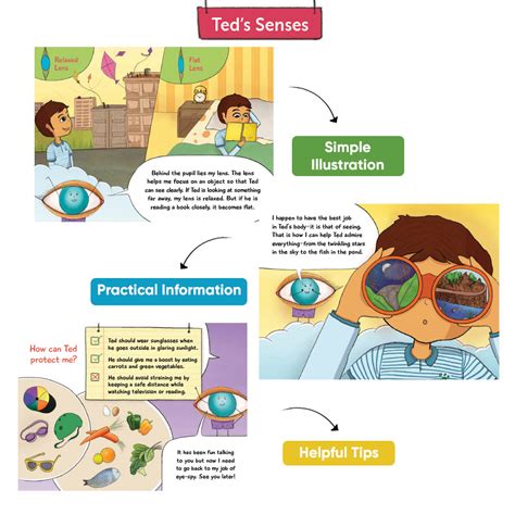 Five Senses Storybooks for Children | Learn about Sense Organs – Brainsmith
