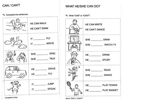 Can Model Verb Worksheet 的图像结果