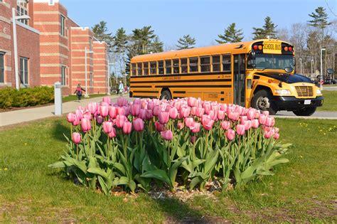 Home | Ellsworth Elementary Middle School