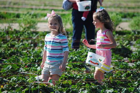 Springtime Fun 的图像结果