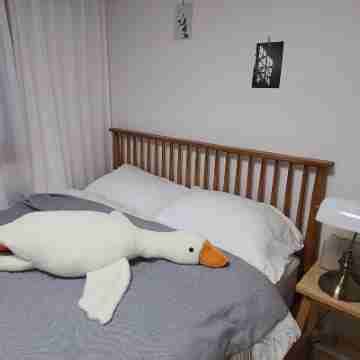 Top 10 Glass Hotels-2026 Luxury Hotels Ranking | Trip.com Blog