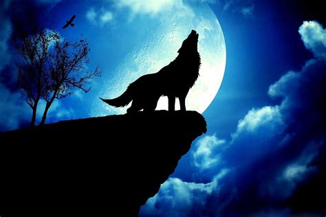 Wolves Howling Wallpapers - Top Free Wolves Howling Backgrounds - WallpaperAccess