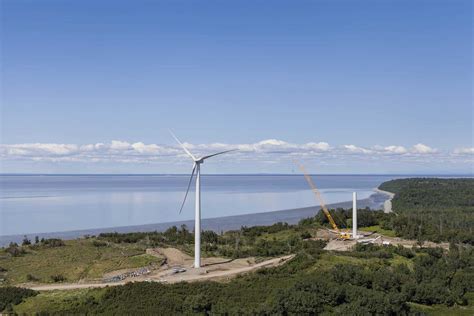 Fire Island Wind - Alaska Crane