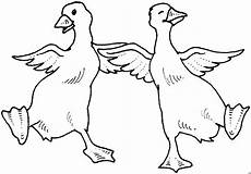 lustige enten ausmalbilder tanzende enten ausmalbild malvorlage tiere lustige enten ausmalbilder tanzende enten ausmalbild malvorlage tiere