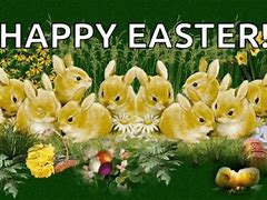 Image result for Happy Bunnies GIF