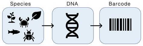 Image result for Forensic Botany DNA Barcoding