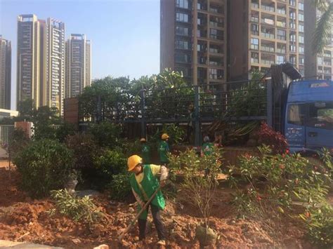 园林工程施工 - 重庆中智园林建设工程有限公司