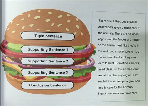 英语写作也有套路？“汉堡包”结构法让你脑洞大开！