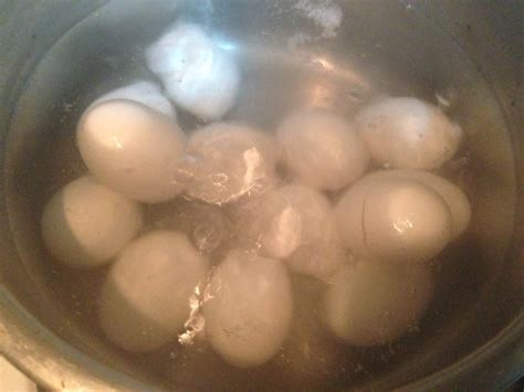 清水煮鴿子蛋的做法_【图解】清水煮鴿子蛋怎么做如何做好吃_清水煮鴿子蛋家常做法大全_爱旅游的宅女_豆果美食