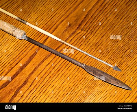 Genuine san bushman spear and arrow head as used by tribe for hunting ...