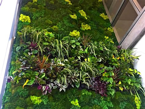Moss Walls - Greenleaf Interior Plant Solutions