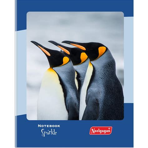 NCERT Complete books set for class - 6 (Latest edition as per NCERT ...