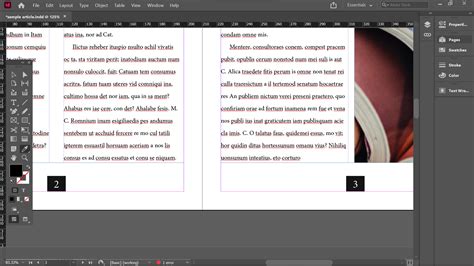 How to Automatically Number Pages in InDesign 的图像结果