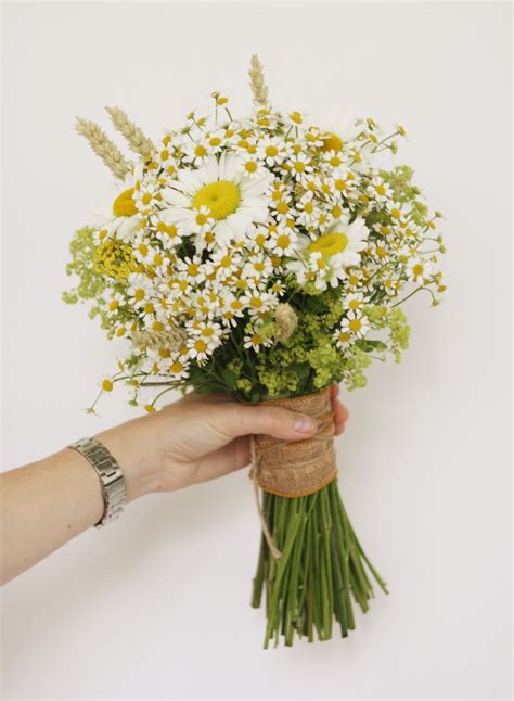 Daisies Bridal Bouquet at William Stork blog