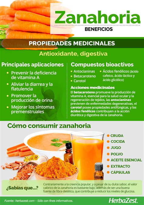 Zanahoria | HerbaZest
