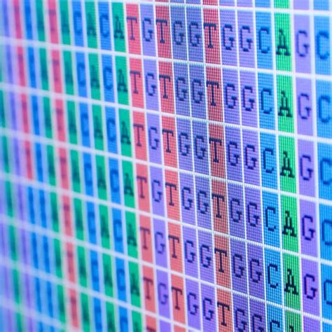 Bioinformatics Sequence 的图像结果