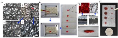 Micromachines | Special Issue : Microfluidics for Cells and Other Organisms