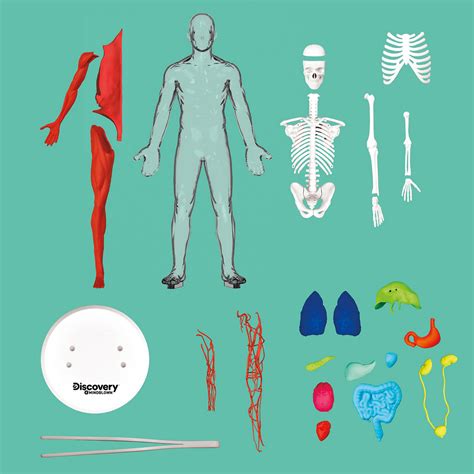 Biology Science Model 的图像结果