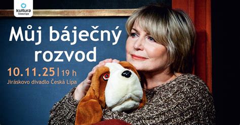 MŮJ BÁJEČNÝ ROZVOD – VYPRODÁNO, Jiráskovo divadlo, Kravare, 10 November ...
