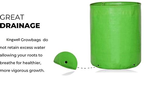 KINGWELL 24x6 Premium HDPE Leafy Grow Bags for Home, Terrace, & Kitchen ...
