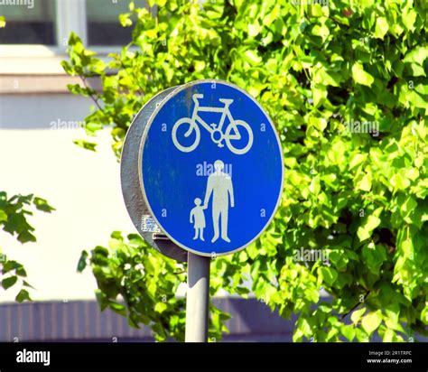 Cycle Sign 的图像结果