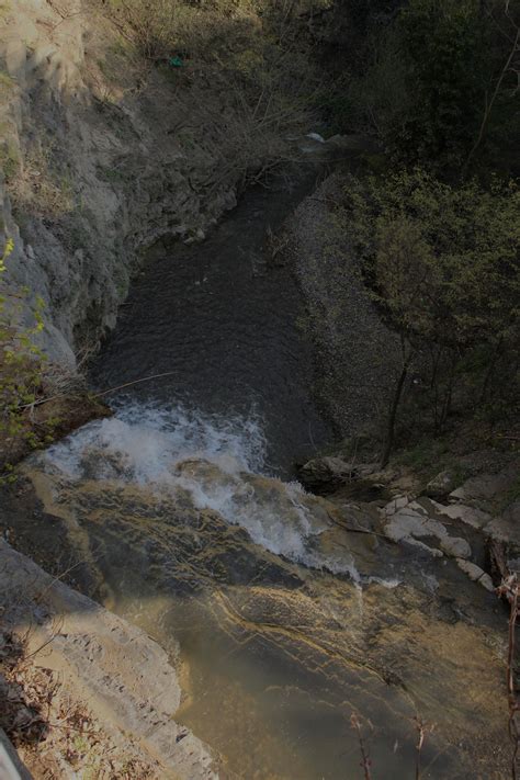 Photo 的图像结果