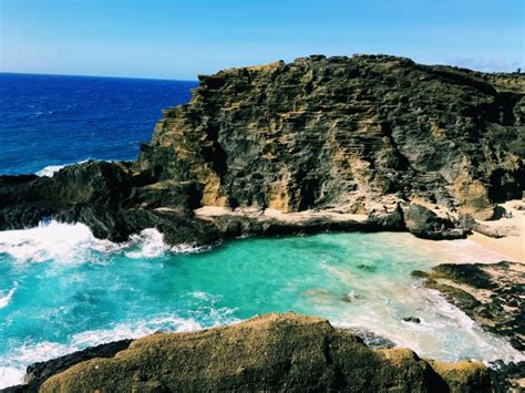 Snorkeling in Oahu - Hellotickets