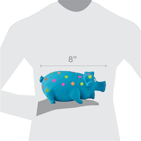 Buy Vibrant Life Playful Buddy Pigglesworth Grunting stuffed Latex Pig ...