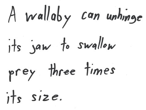 Low Quality Facts (@lowqualityfacts@mstdn.social) - Mastodon 🐘