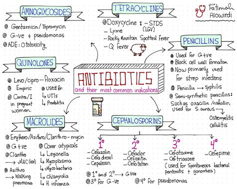 Antibiotic Medical Terminology Breakdown at Carey Shaw blog