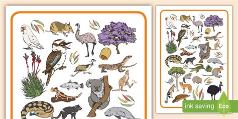 Australian Plants and Animals Cut-Outs (teacher made)