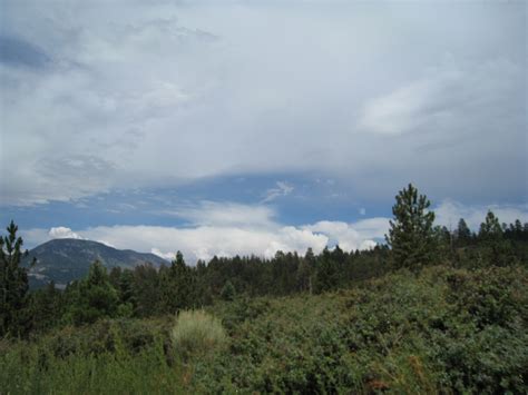 Hiking Mt. San Gorgonio (Via the South Fork Trail)