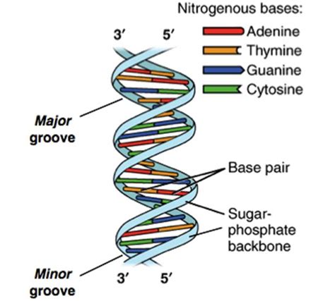 Image result for DNA Microarray Device