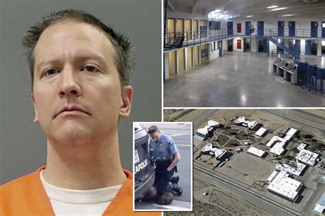 Derek Chauvin was stabbed 22 times by federal inmate as new details of ...