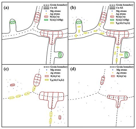 A Quasi In-Situ Study on the Microstructural Evolution of 2195 Al-Cu-Li ...