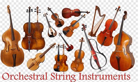 Image result for Classical String Instruments