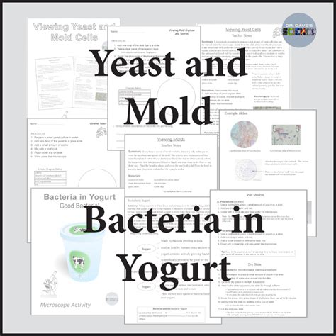 Image result for Microscope Lab Activity