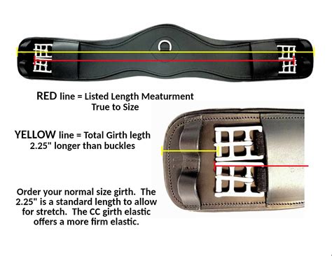Size Chart | Vivace Equine