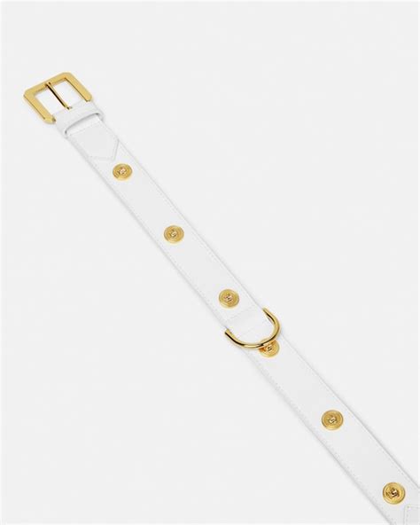 Luxury Pet Accessories: Designer Dog Collars, Clothes | VERSACE US