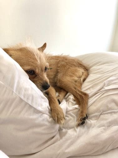 Anyones partner, girl/boyfriend ignore your texts for hours but active ...