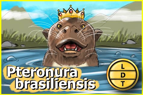 Is the Giant River Otter The Amazon's Most Impressive Predator?