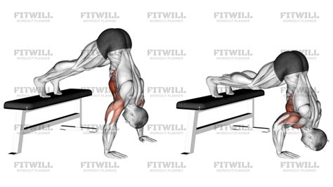 Flexiones Pike Con Pies Elevados: Guía de Ejercicios, Video, Técnicas, Beneficios, Cómo ...