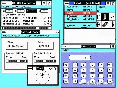 Program File Windows 1.0 的图像结果