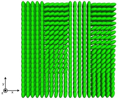 Tensor Field Applications 的图像结果