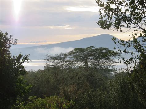 NAIVASHA KONGONI LODGE - Lodge Reviews, Photos, Rate Comparison ...