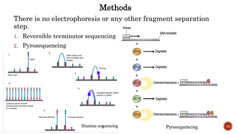 DNA Sequencing Methods 的图像结果