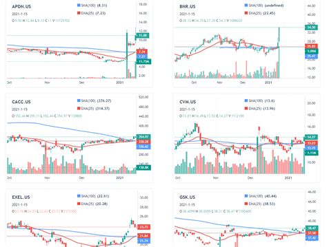 Screener Tutorial 的图像结果