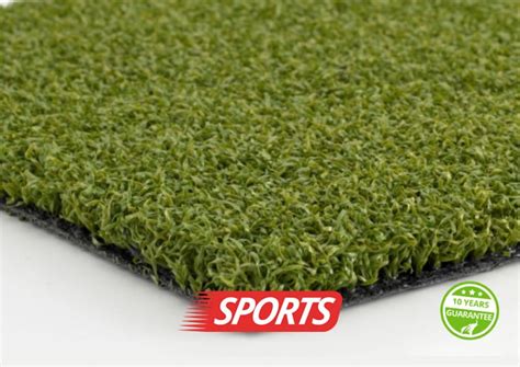 Hockey Grass 的图像结果