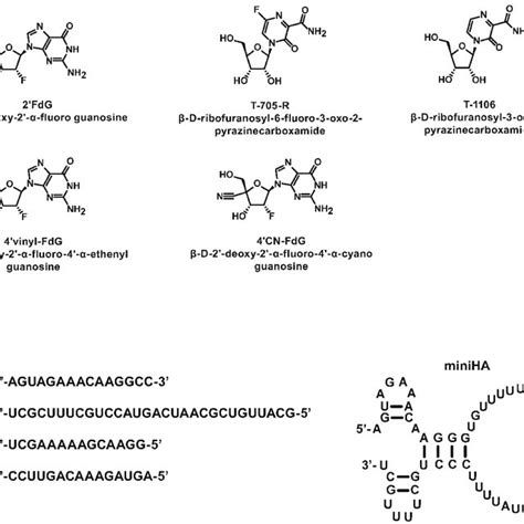 Labels KeyShot 的图像结果